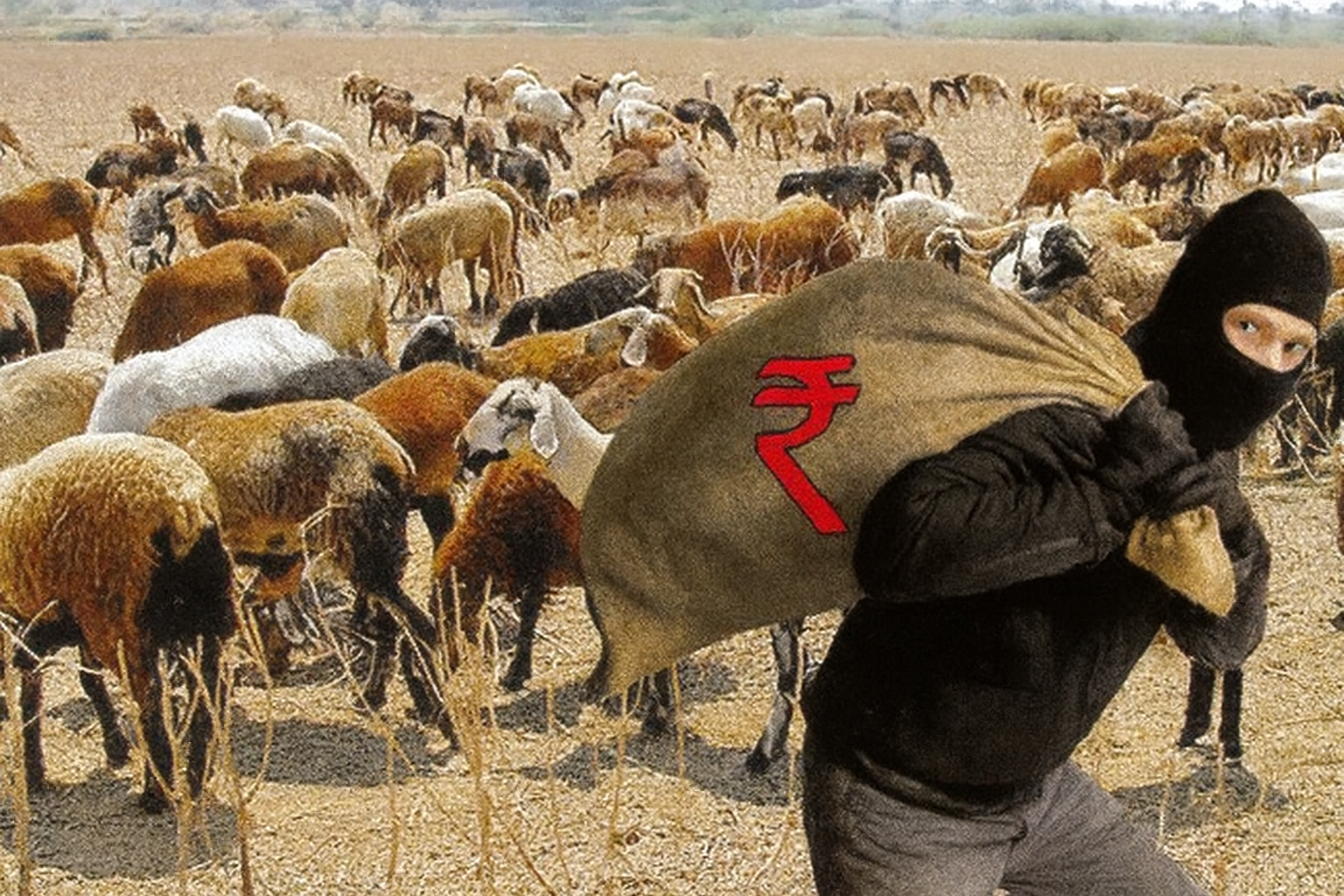 Sheep Scam: తెలంగాణలో గొర్రెల కుంభకోణం వేల కోట్లకు? కొత్త నిజాలు బయటపడుతున్నాయి!